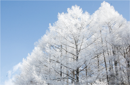 雪景色や霧氷