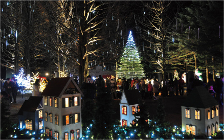 イルミネーション